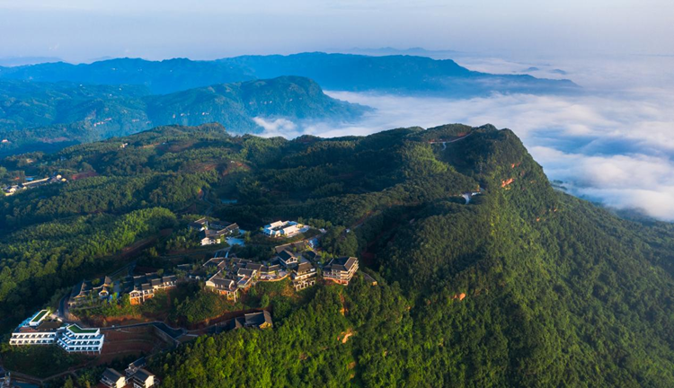 1661397032152002.png 圖片22.png